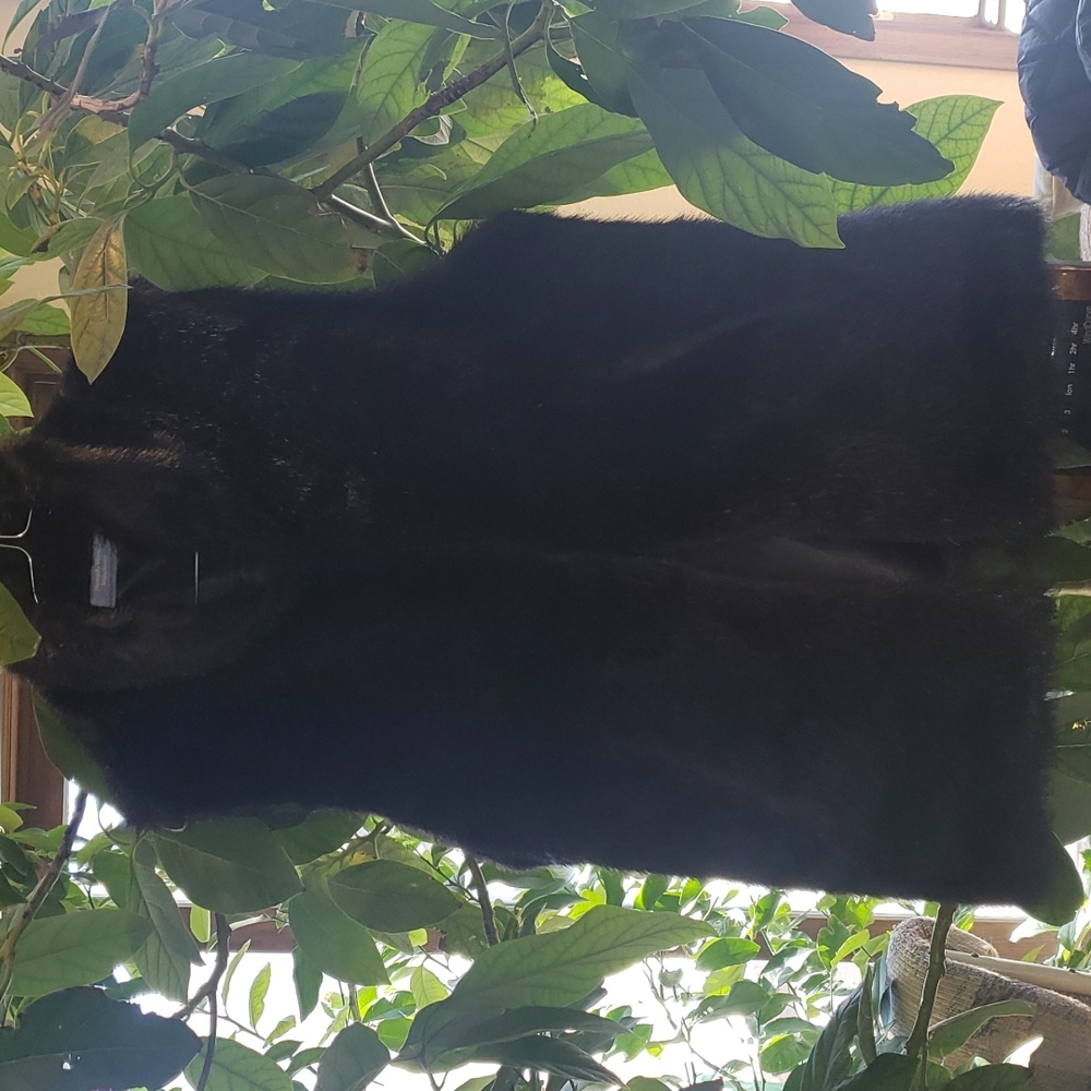 Simply Vera Black Faux Fur Vest Large